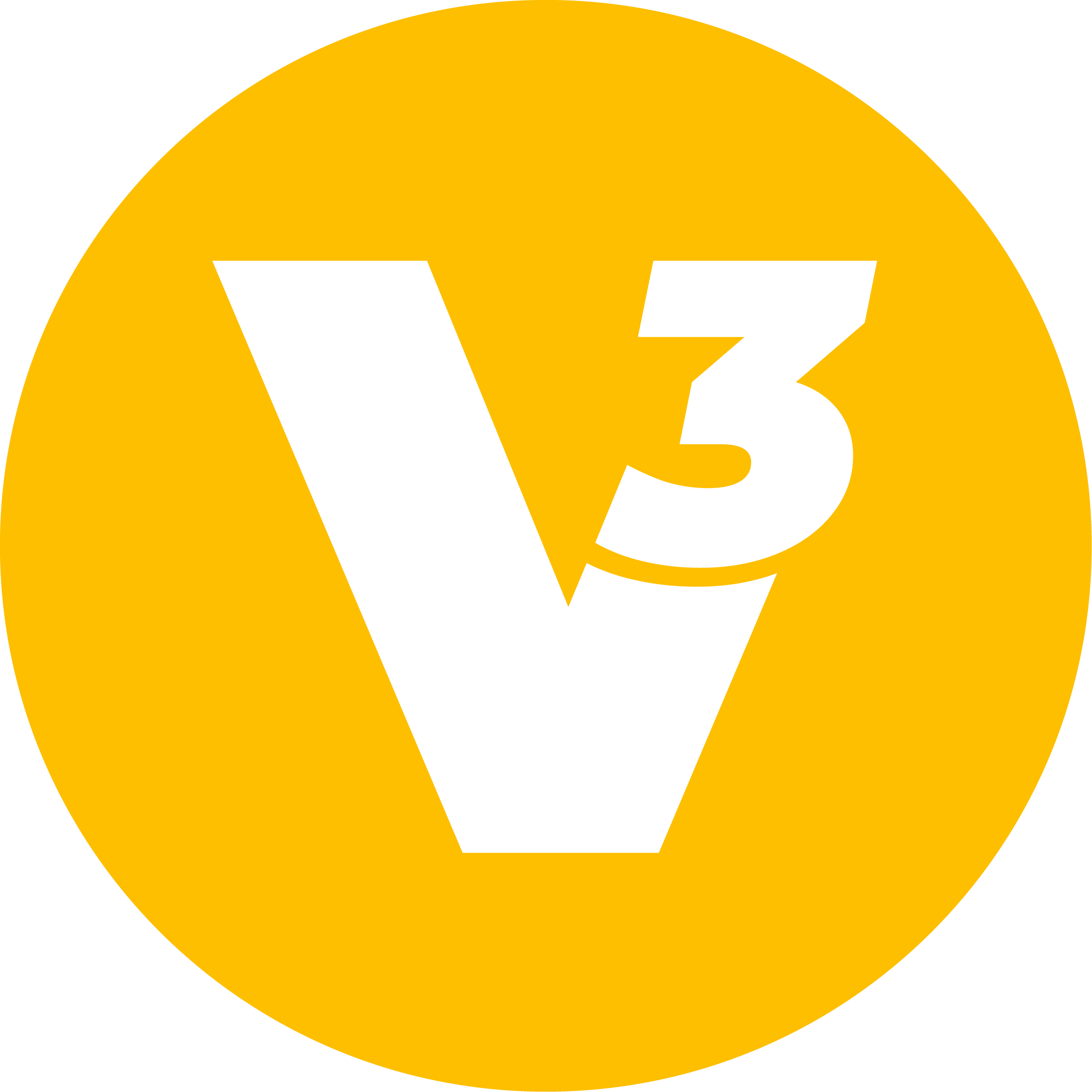 V3-Logo